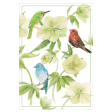 Caspari Birds And Hellebore – Blank Inside Card – 1 Card & 1 Envelope Hot on Sale