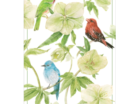 Caspari Birds And Hellebore – Blank Inside Card – 1 Card & 1 Envelope Hot on Sale