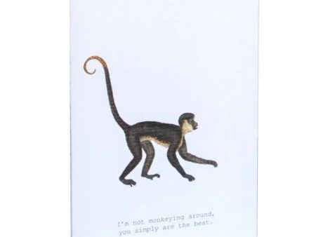 Monkeying Around Glitter Greeting Card – 3.5  x 5  Discount