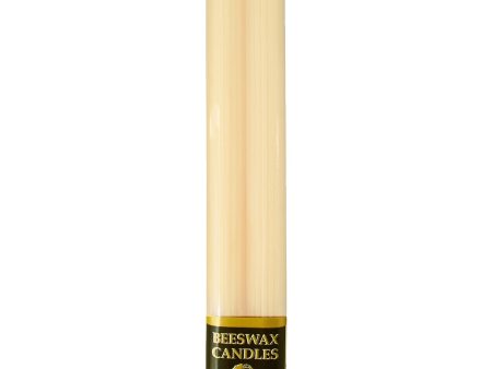 Dadant Classic Ivory Beeswax Candle – 12  – 2pk Online now